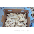 Natural Air Dried Ginger